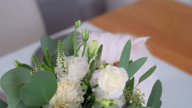 Close-up shot of Cat looked into the camera. It is hiding and sniffing a bouquet