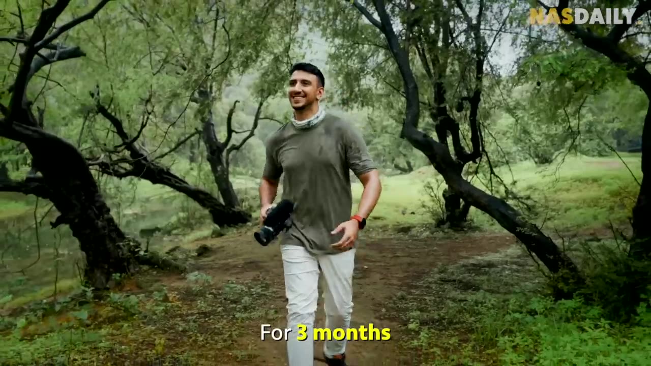 The disappearing Rainforest