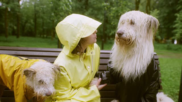 A Woman and Her Dogs Sitting on the Bench