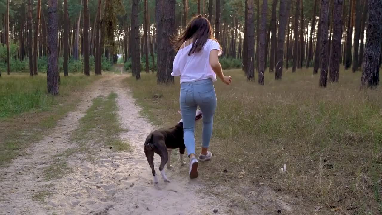 Girl playing with her dog in the forest at sunset