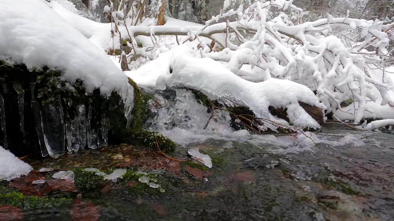 Accelerated Video of Flowing Water in Stream