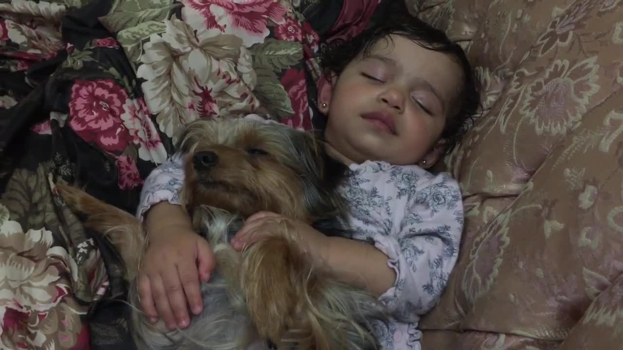 Perro se queda adorablemente dormido con un bebé dormido