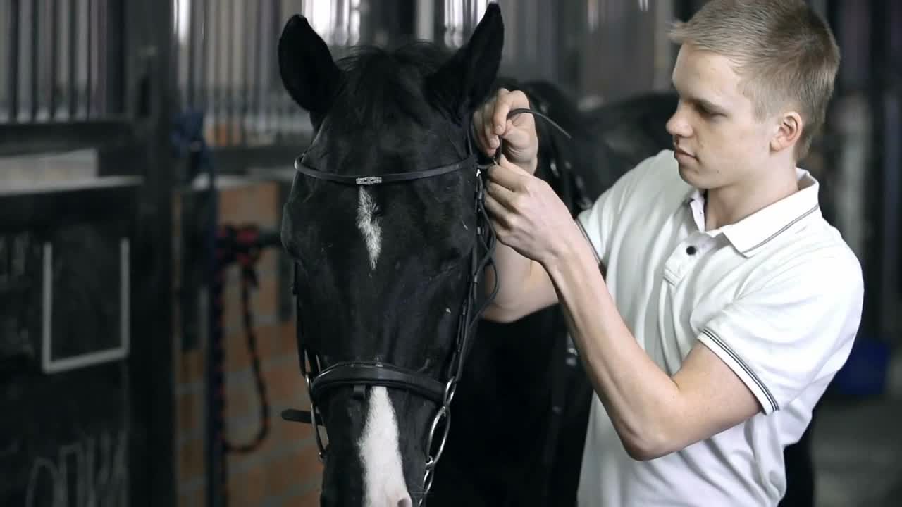 Close up of young lad taking the rein off his horse carefully