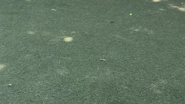 2021 Kennon Anniversary 7