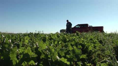 Brett Peterson - 2016 American Star in Agricultural Placement Winner