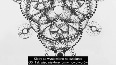 TLEN - TWÓJ UKŁAD ODPORNOŚCIOWY. CZĘŚĆ 02