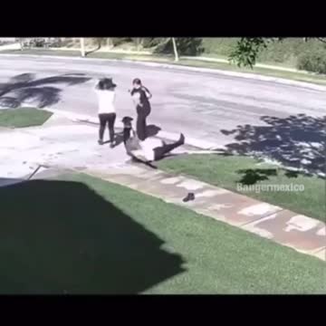 hold that dog! kkk funny video but really