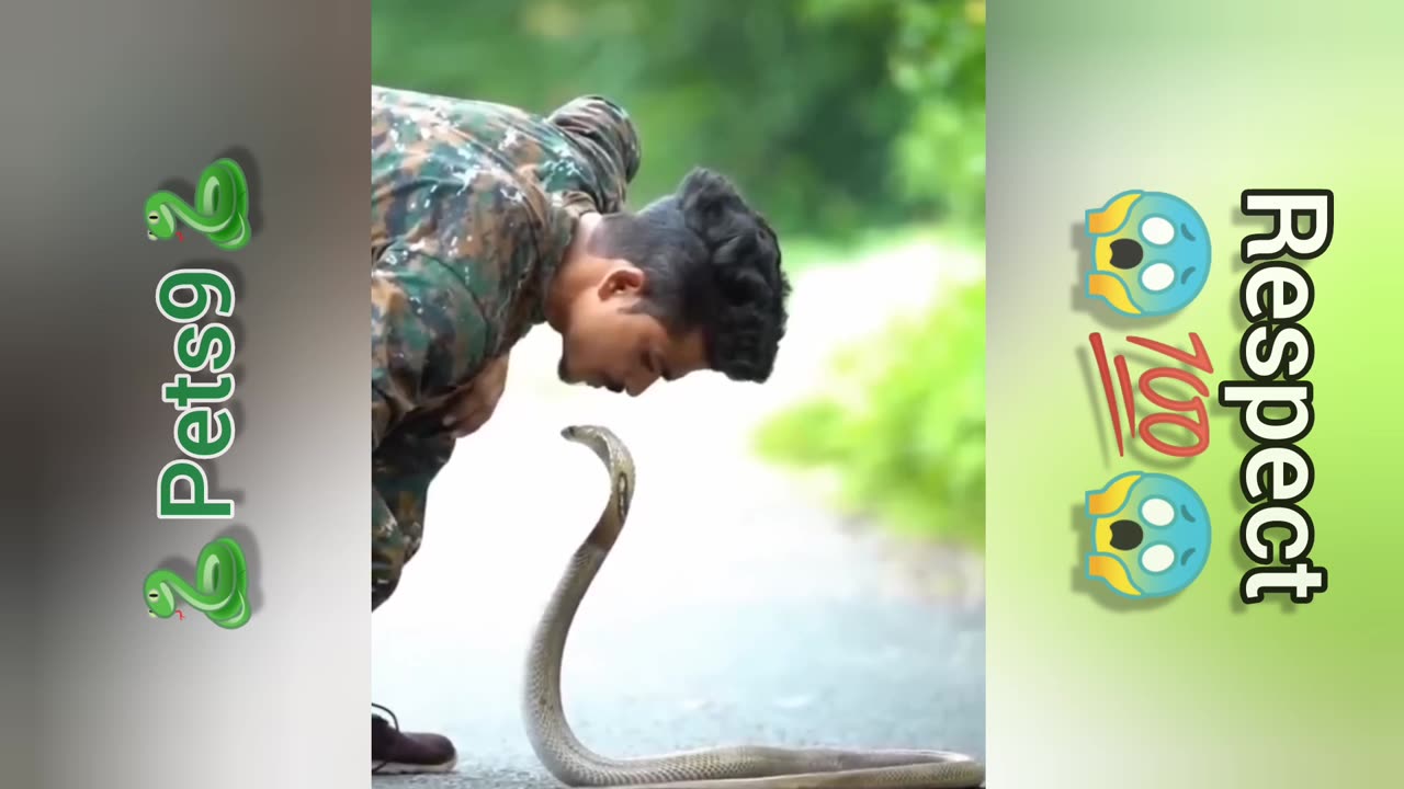 The man kissed the snake's mouth🐍🐍wonderful talent🔥