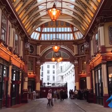 Study Abroad Dream calling