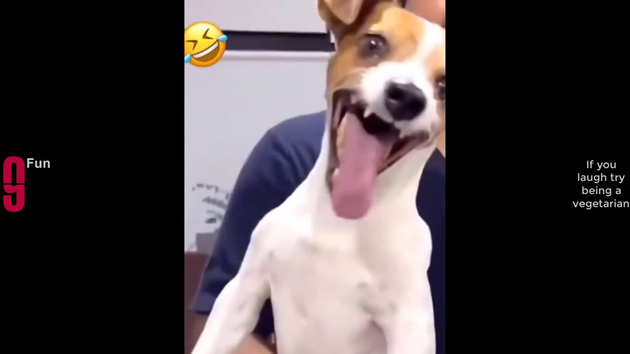 TRY NOT TO LAUGH 😆 Best Funny Videos Compilation 😂😁😆 Memes