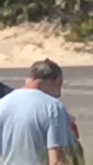 Bird on head of man in grey shirt