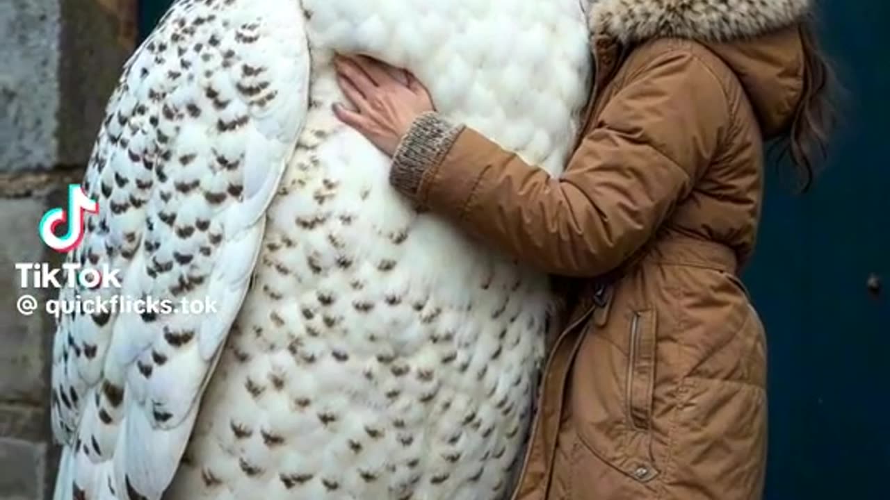 That is a big Owl