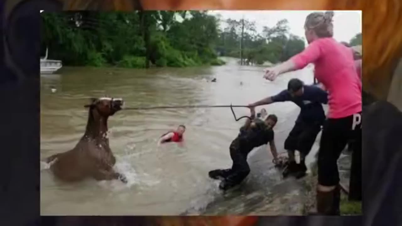 Stay out of the mud (NC & TN)