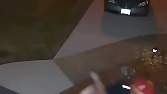 Bad dog ever