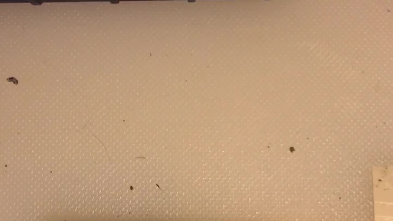 EPU HV Complete and self running 80khz 4.4w in loop