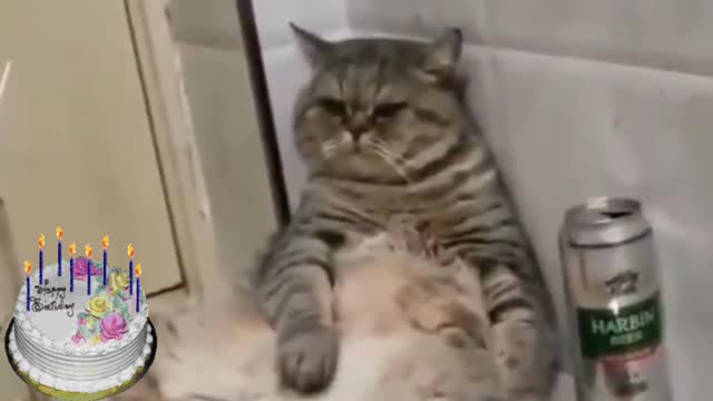 the morning after the party