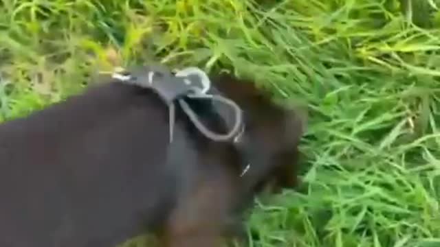 https://youtu.be/EhuT2OJnbdM