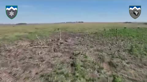 Delivery service 109 OGSHB