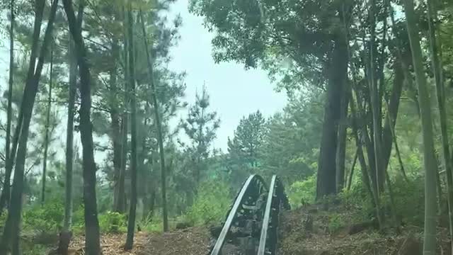 Train in the mountains/ Blue and peaceful scenery