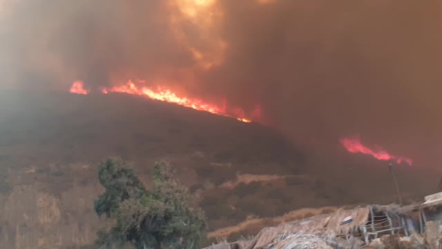 Horrifying wild fire in Latakia, Syria