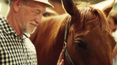 A close-up of joyful senior couple petting a horse in a stable