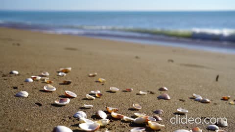 Fall Asleep with Powerful Waves at Night on umm al quwain Beach - Ocean Sounds for Deep Sleeping
