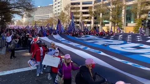 STOP THE STEAL Washington DC 2020-11-14