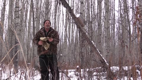 Trapping Inc Season 3 Episode 10 Fisher and Marten Lures!