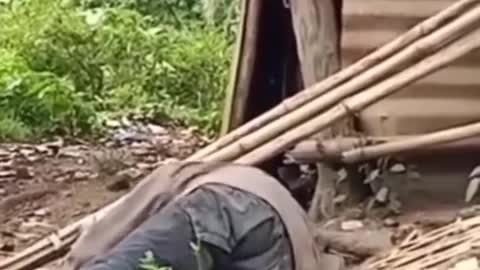 Say rượu