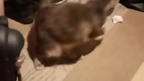 Piper is just too funny