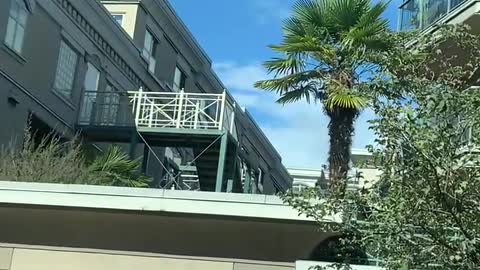 North Vancouver Canada by bus