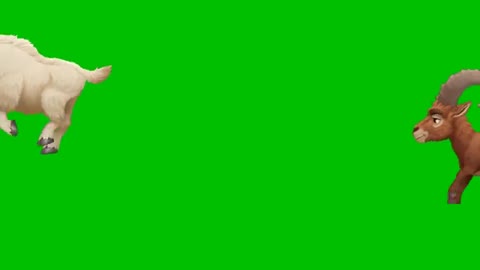 Green screen cartoon animals