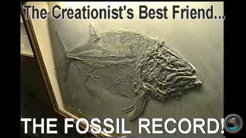 Evolution Theory Deception: Evolution is Not Scientifically Credible.