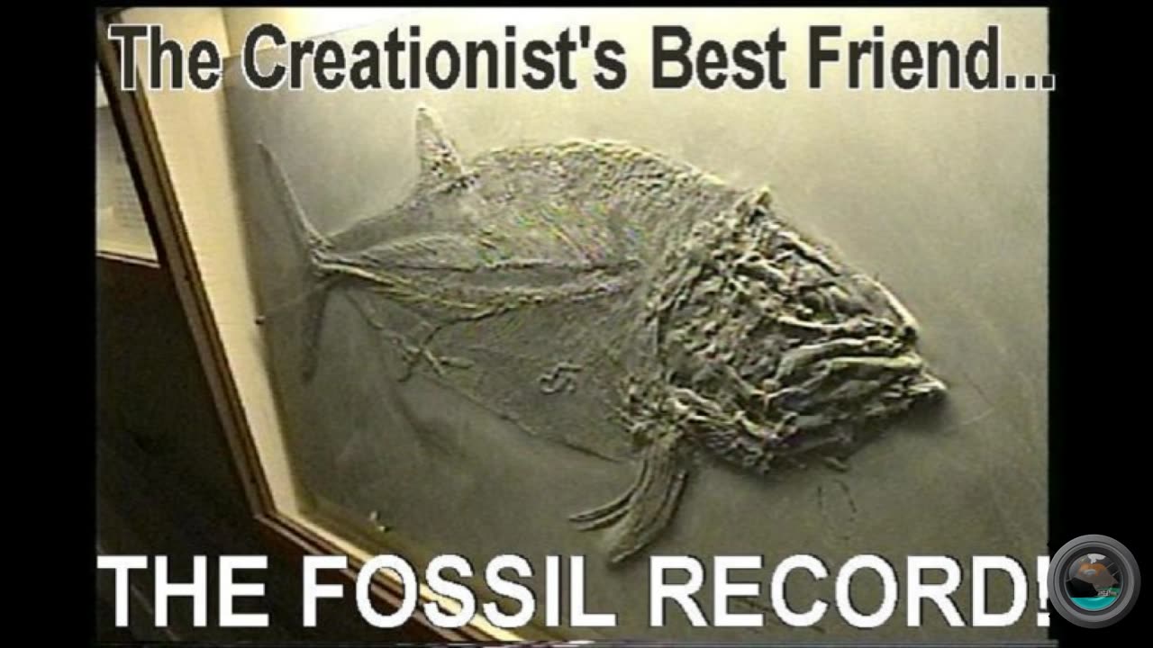 Evolution Theory Deception: Evolution is Not Scientifically Credible.