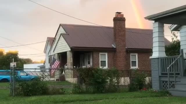 Dog stands under a rainbow