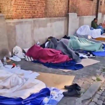 ESTO ESTA PASANDO EN BELGICA FEBRERO 2024