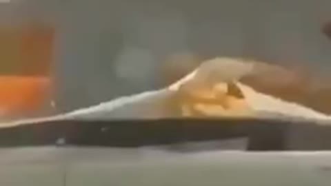 LO QUE A TI TE GUSTA MAS, EN McDonalds ESTÁ....🎶🎶🎵🎵