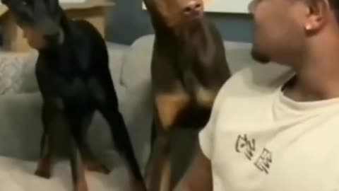 🤣🤣🤣🤣🤣🤣🤣