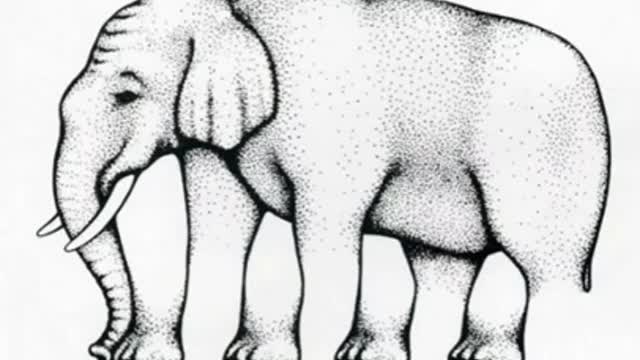 Impossible elephant