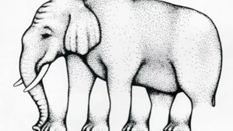 Impossible elephant