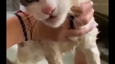 OMG! SHE IS SINGING