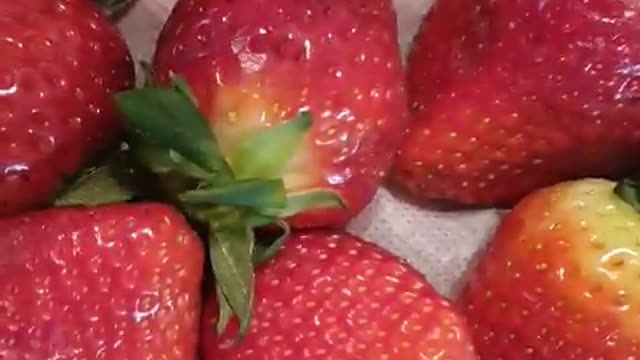 Korean Strawberry