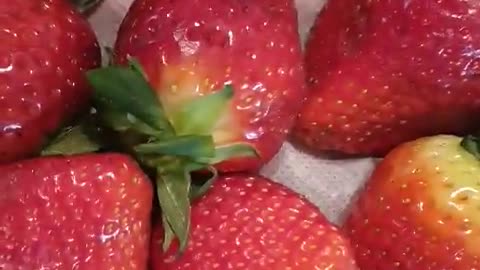 Korean Strawberry