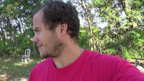 Great and Terrible Gardening s1e41 The Ultimate Garden Experience in Real Time