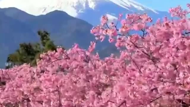 Beautiful Japan Nature