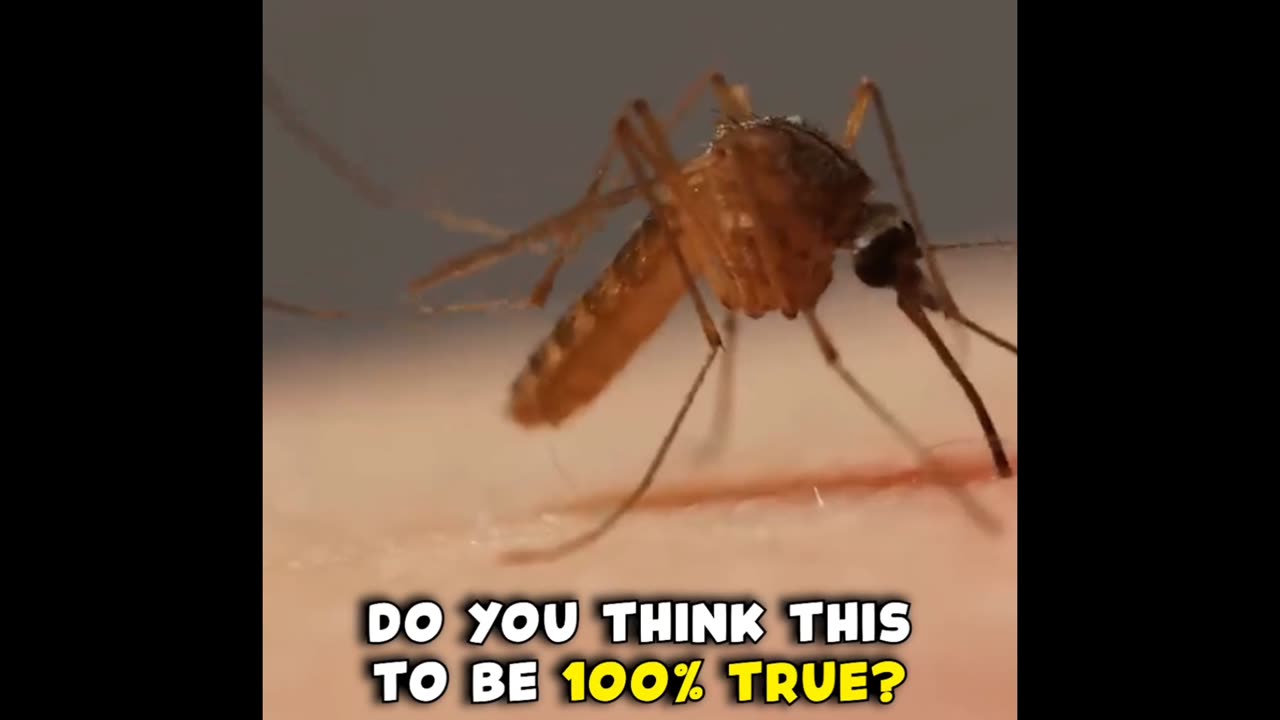 Ever feel like mosquitoes only target you 🦟🦟