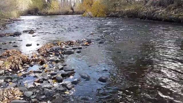 Rocks in Stream autumn