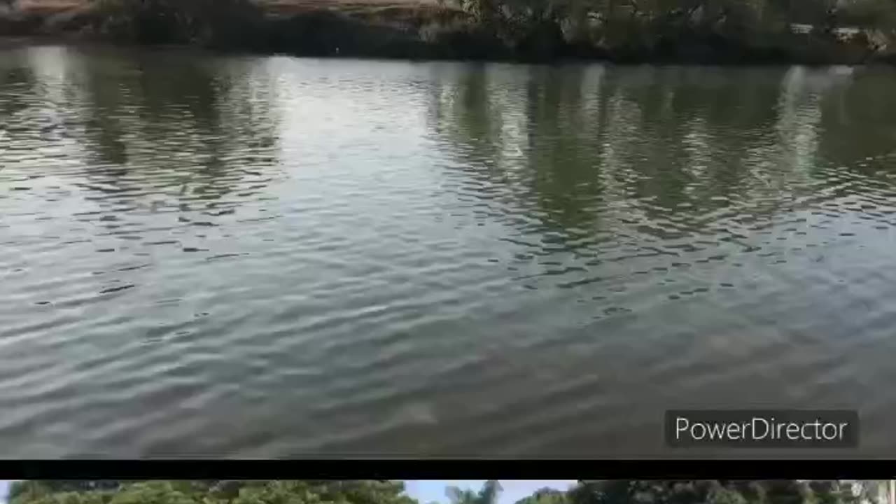 India : Panchganga river Kolhapur Maharashtra