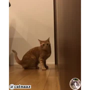 Fights with a hypothetical enemy