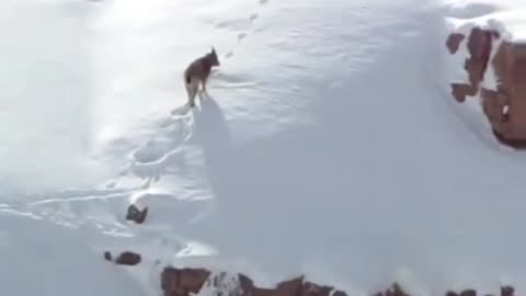 incredible zoom capture 😱🤔